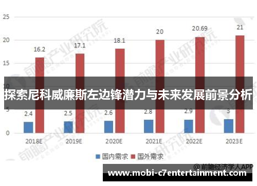 探索尼科威廉斯左边锋潜力与未来发展前景分析