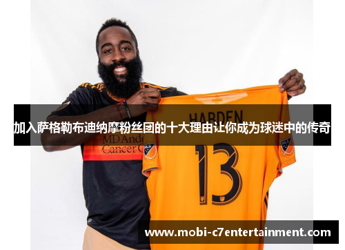 加入萨格勒布迪纳摩粉丝团的十大理由让你成为球迷中的传奇