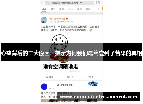 心痛背后的三大原因：揭示为何我们最终尝到了苦果的真相