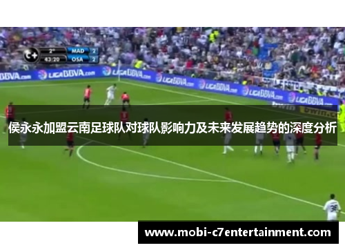 侯永永加盟云南足球队对球队影响力及未来发展趋势的深度分析