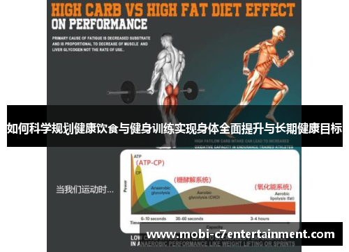 如何科学规划健康饮食与健身训练实现身体全面提升与长期健康目标