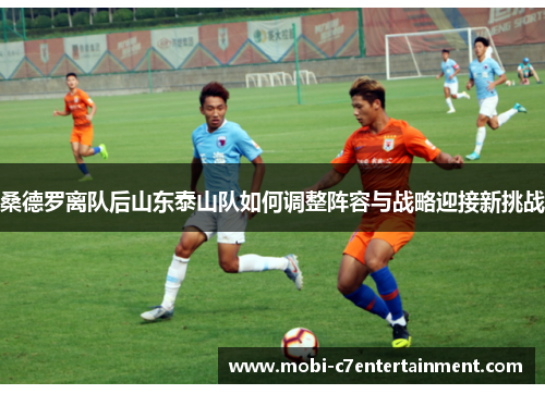 桑德罗离队后山东泰山队如何调整阵容与战略迎接新挑战