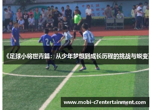 《足球小将世青篇：从少年梦想到成长历程的挑战与蜕变》