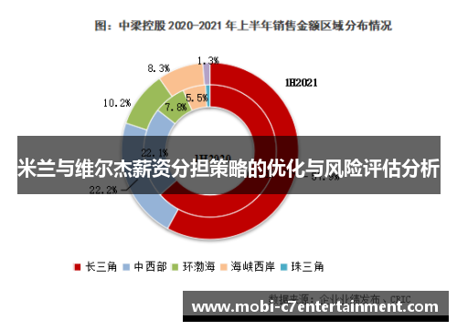 米兰与维尔杰薪资分担策略的优化与风险评估分析