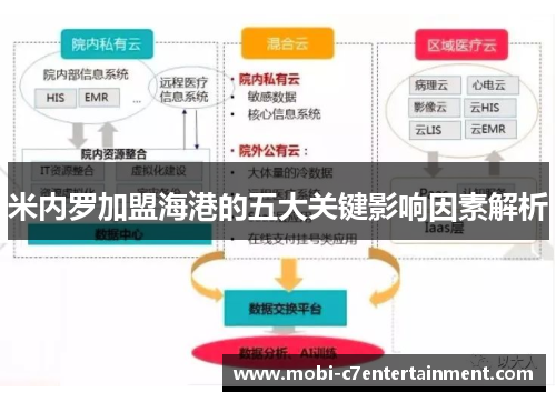 米内罗加盟海港的五大关键影响因素解析 米内罗加盟海港的五大关键影响因素解析