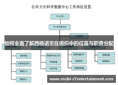 如何全面了解西格诺里在组织中的位置与职责分配