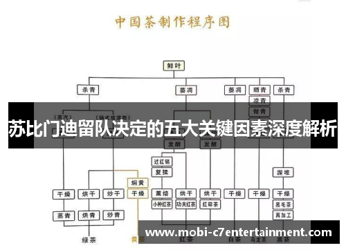 苏比门迪留队决定的五大关键因素深度解析