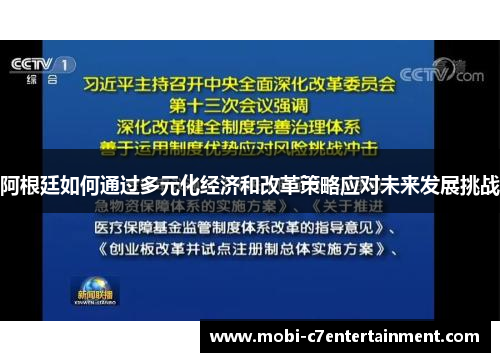 阿根廷如何通过多元化经济和改革策略应对未来发展挑战