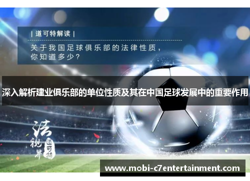 深入解析建业俱乐部的单位性质及其在中国足球发展中的重要作用 深入解析建业俱乐部的单位性质及其在中国足球发展中的重要作用