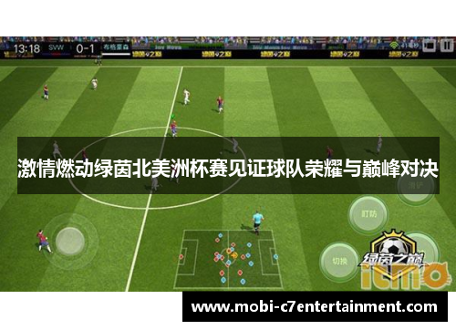 激情燃动绿茵北美洲杯赛见证球队荣耀与巅峰对决