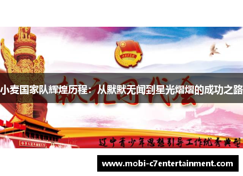 小麦国家队辉煌历程：从默默无闻到星光熠熠的成功之路