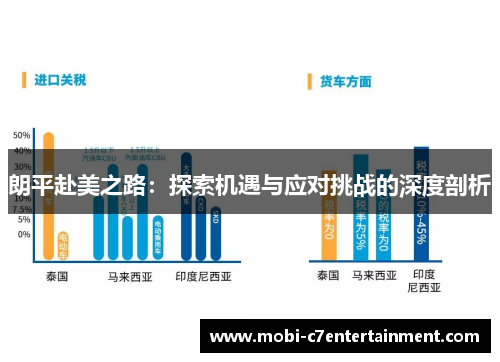 朗平赴美之路：探索机遇与应对挑战的深度剖析