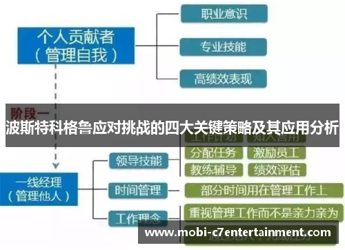 波斯特科格鲁应对挑战的四大关键策略及其应用分析