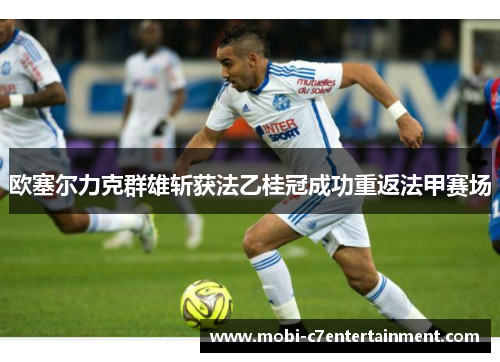 欧塞尔力克群雄斩获法乙桂冠成功重返法甲赛场