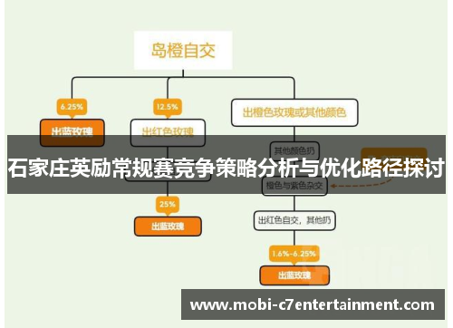 石家庄英励常规赛竞争策略分析与优化路径探讨