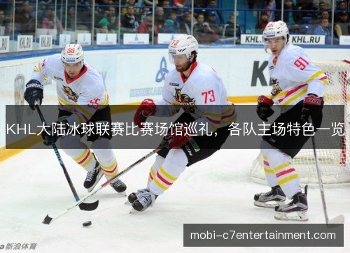 KHL大陆冰球联赛比赛场馆巡礼，各队主场特色一览